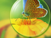 91香蕉在线视频歐美鏡片